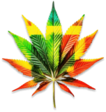 pluma de thc