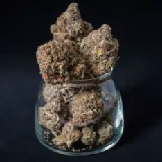 Sativa